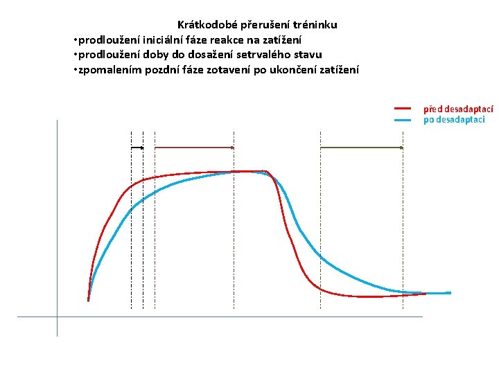 Krátkodobé přerušení tréninku • prodloužení iniciální fáze reakce na zatížení • prodloužení doby do