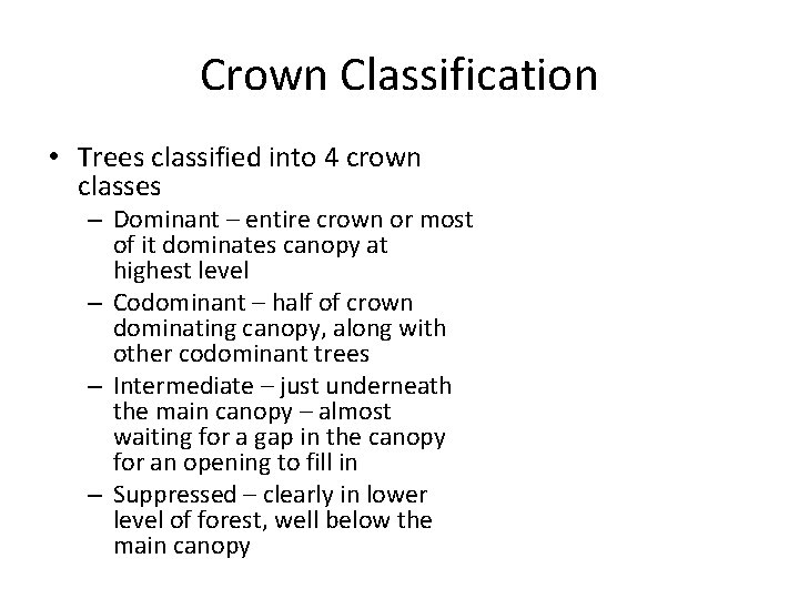 FORESTRY TEST BASICS How To Measure the Diameter