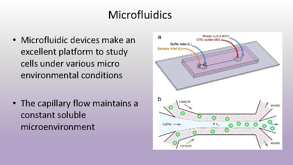 Microfluidics • Microfluidic devices make an excellent platform to study cells under various micro