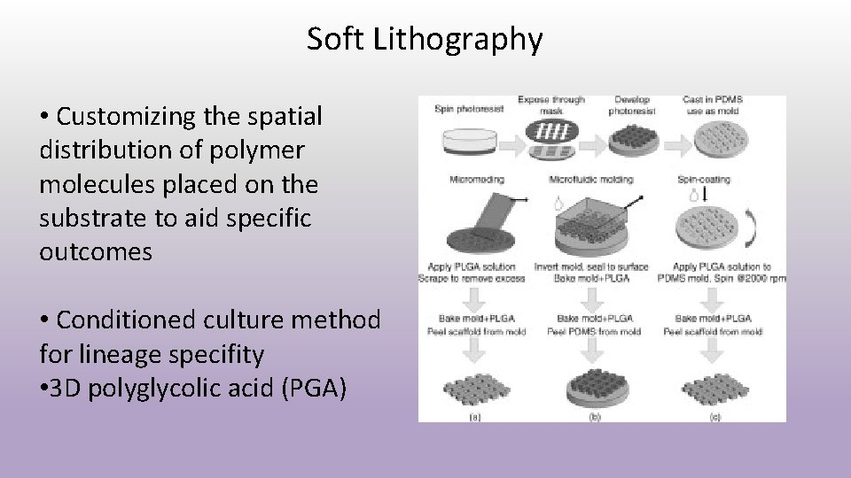 Soft Lithography • Customizing the spatial distribution of polymer molecules placed on the substrate