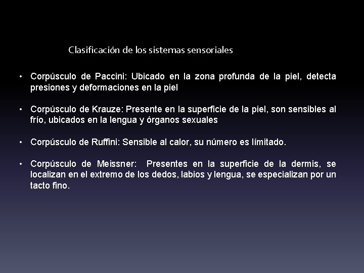 Clasificación de los sistemas sensoriales • Corpúsculo de Paccini: Ubicado en la zona profunda