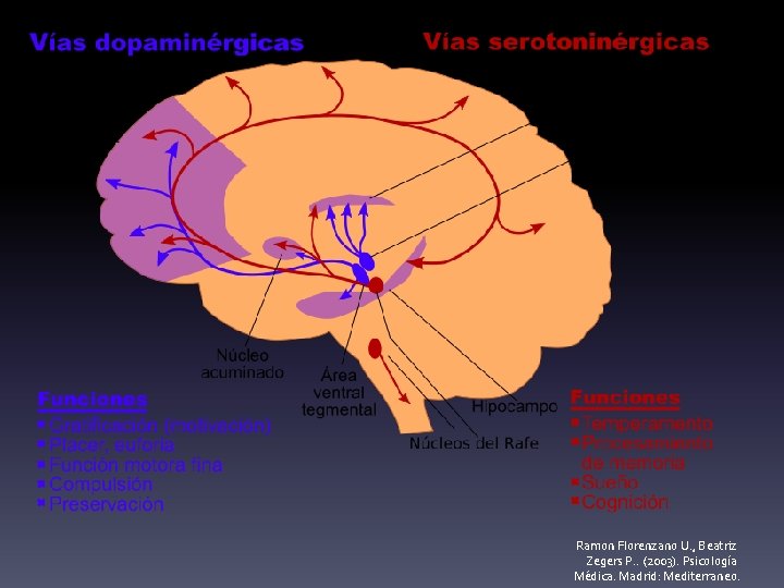 Ramon Florenzano U. , Beatriz Zegers P. . (2003). Psicología Médica. Madrid: Mediterraneo. 