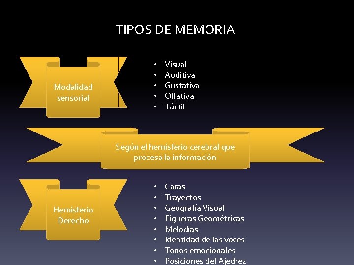 TIPOS DE MEMORIA Modalidad sensorial • • • Visual Auditiva Gustativa Olfativa Táctil Según