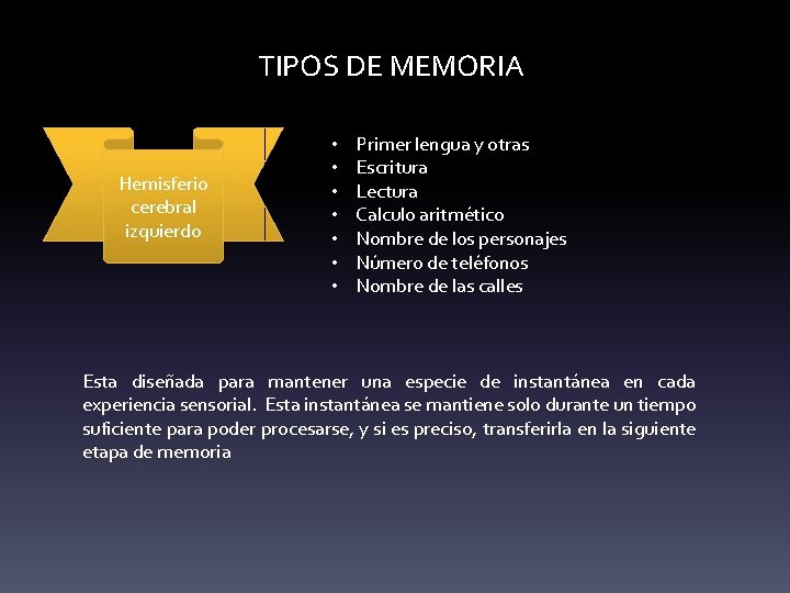 TIPOS DE MEMORIA Hemisferio cerebral izquierdo • • Primer lengua y otras Escritura Lectura