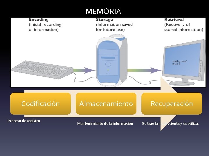 MEMORIA Codificación Proceso de registro Almacenamiento Mantenimiento de la información Recuperación Se trae la