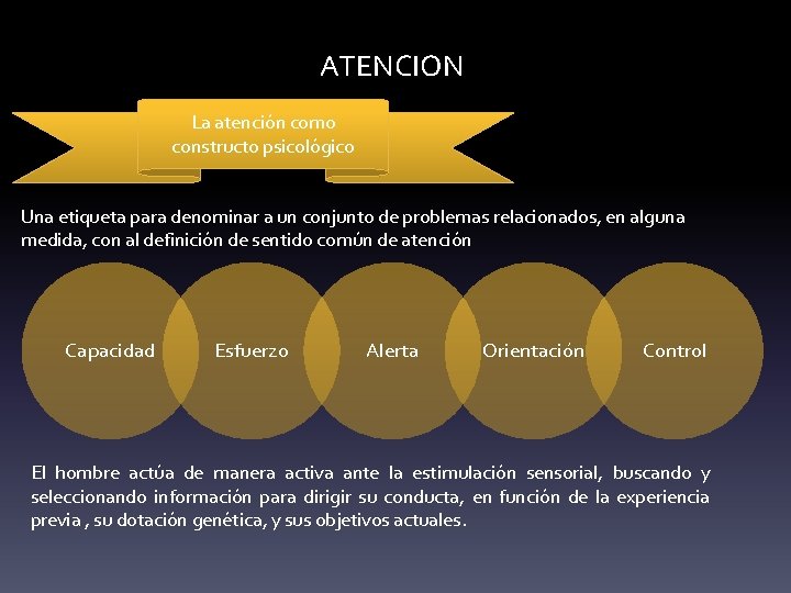 ATENCION La atención como constructo psicológico Una etiqueta para denominar a un conjunto de