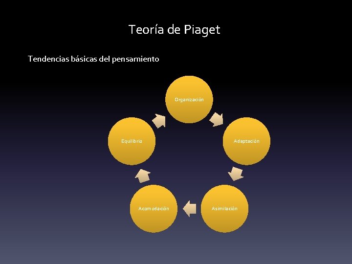 Teoría de Piaget Tendencias básicas del pensamiento Organización Equilibrio Acomodación Adaptación Asimilación 