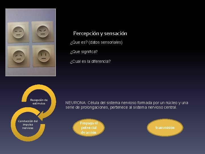 Percepción y sensación ¿Que es? (datos sensoriales) ¿Que significa? ¿Cual es la diferencia? Recepción