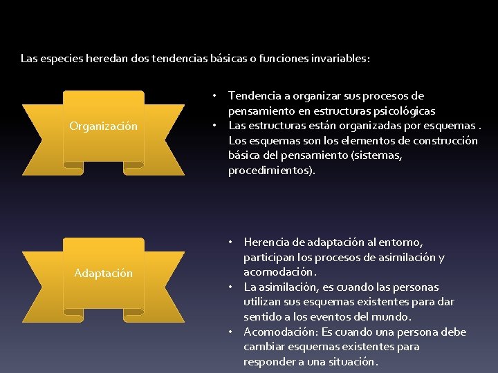 Las especies heredan dos tendencias básicas o funciones invariables: Organización Adaptación • Tendencia a