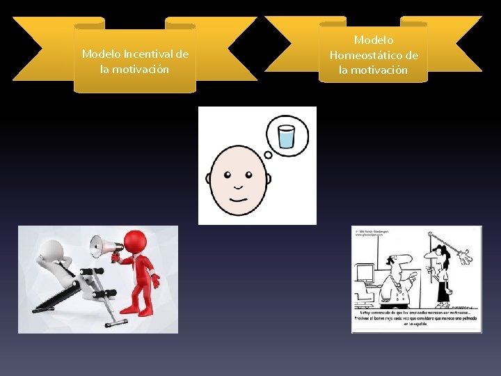 Modelo Incentival de la motivación Modelo Homeostático de la motivación 