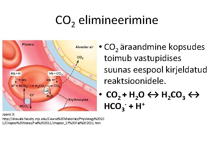 CO 2 elimineerimine • CO 2 äraandmine kopsudes toimub vastupidises suunas eespool kirjeldatud reaktsioonidele.