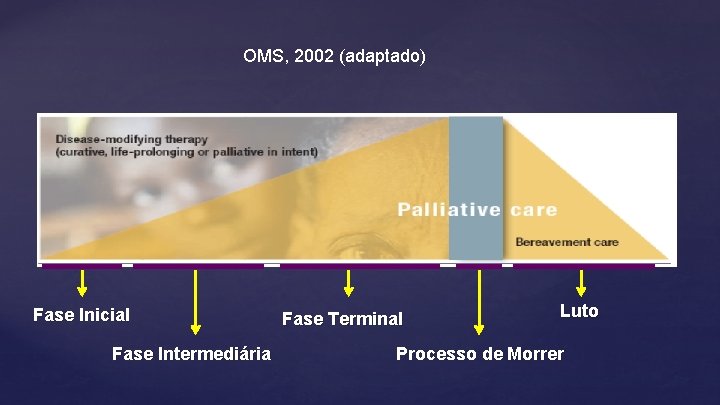 OMS, 2002 (adaptado) Fase Inicial Fase Intermediária Fase Terminal Luto Processo de Morrer 