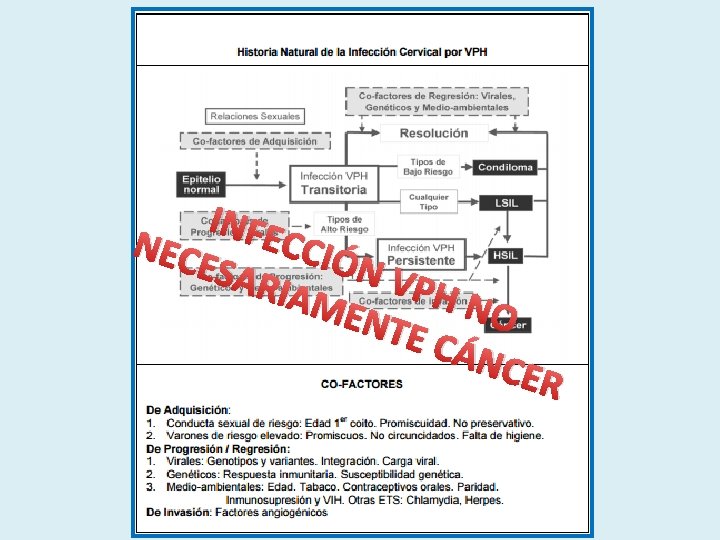 INFE CCIÓ NEC ESA N RIAM VPH ENT NO E CÁ NCE R 