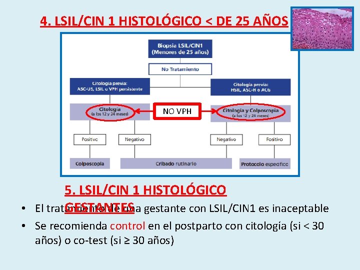 4. LSIL/CIN 1 HISTOLÓGICO < DE 25 AÑOS NO VPH 5. LSIL/CIN 1 HISTOLÓGICO