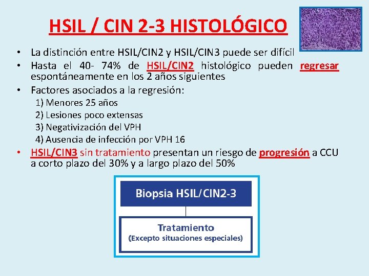 HSIL / CIN 2 -3 HISTOLÓGICO • La distinción entre HSIL/CIN 2 y HSIL/CIN