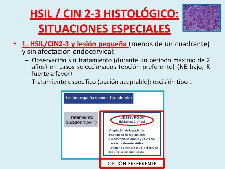 HSIL / CIN 2 -3 HISTOLÓGICO: SITUACIONES ESPECIALES • 1. HSIL/CIN 2 -3 y