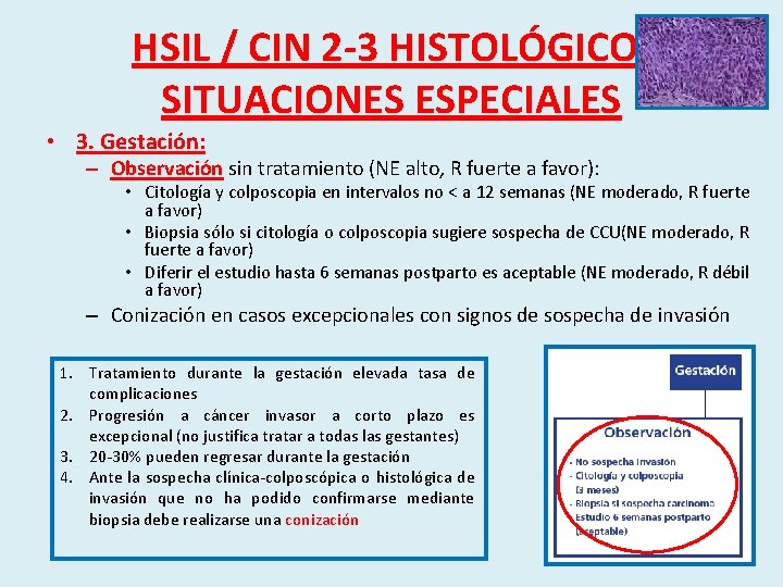 HSIL / CIN 2 -3 HISTOLÓGICO: SITUACIONES ESPECIALES • 3. Gestación: – Observación sin