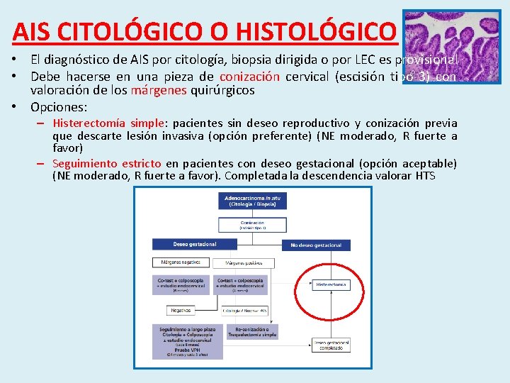 AIS CITOLÓGICO O HISTOLÓGICO • El diagnóstico de AIS por citología, biopsia dirigida o