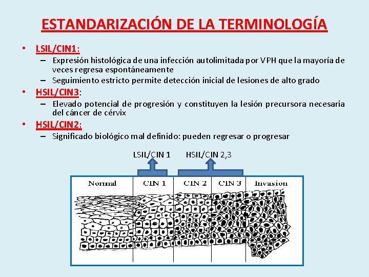 ESTANDARIZACIÓN DE LA TERMINOLOGÍA • LSIL/CIN 1: – Expresión histológica de una infección autolimitada