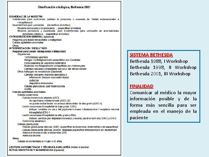 SISTEMA BETHESDA Bethesda 1988, I Workshop Bethesda 1998, II Workshop Bethesda 2001, III Workshop