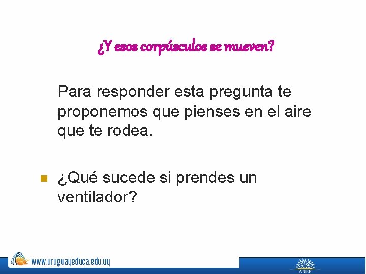 ¿Y esos corpúsculos se mueven? Para responder esta pregunta te proponemos que pienses en