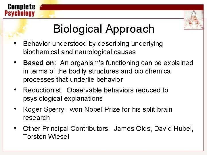 Biological Approach • Behavior understood by describing underlying biochemical and neurological causes • Based