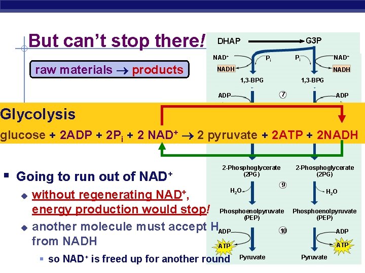 But can’t stop there! G 3 P DHAP NAD+ raw materials products Pi +