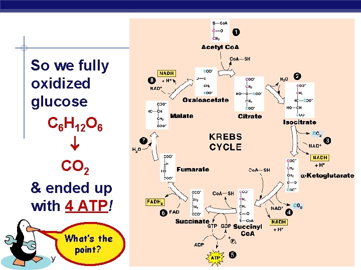 So we fully oxidized glucose C 6 H 12 O 6 CO 2 &