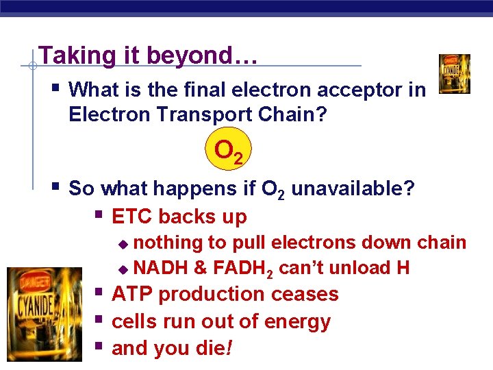 Taking it beyond… § What is the final electron acceptor in Electron Transport Chain?