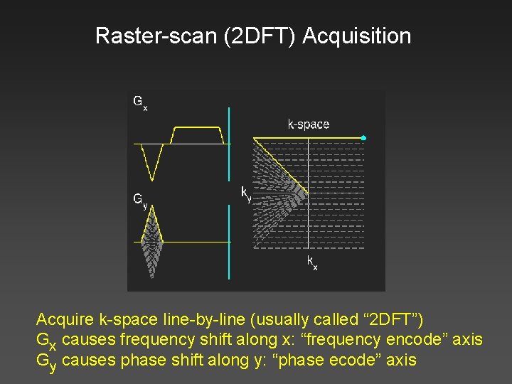 Raster-scan (2 DFT) Acquisition Acquire k-space line-by-line (usually called “ 2 DFT”) Gx causes