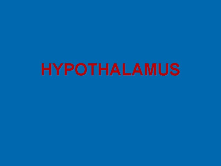 HYPOTHALAMUS 