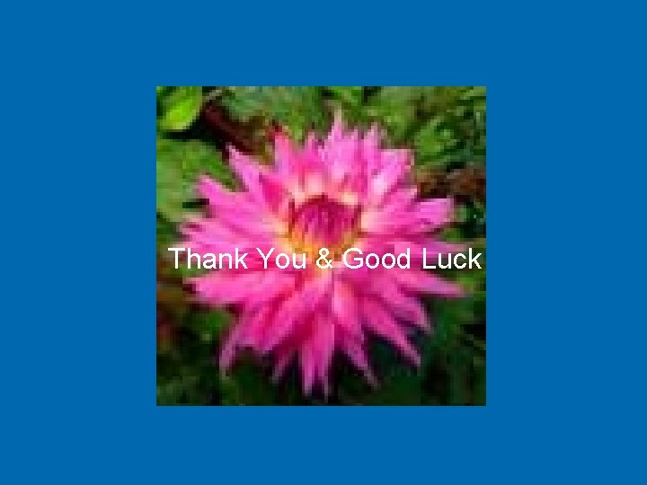 Thank You & Good Luck 