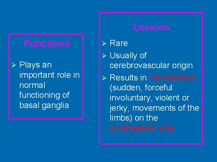 Lesions Functions Ø Plays an important role in normal functioning of basal ganglia Rare