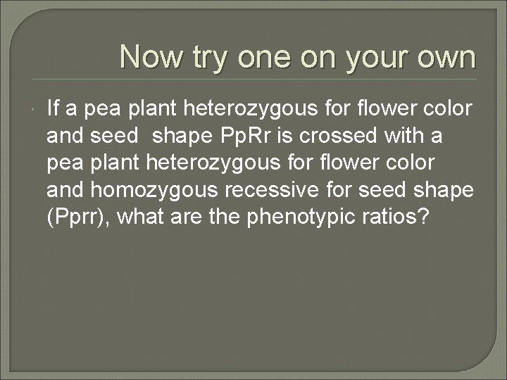 Now try one on your own If a pea plant heterozygous for flower color