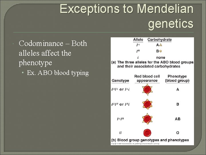 Exceptions to Mendelian genetics Codominance – Both alleles affect the phenotype • Ex. ABO