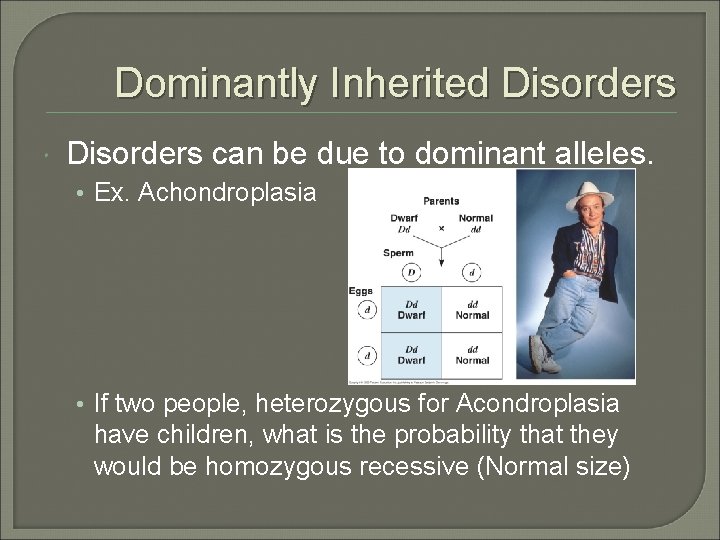 Dominantly Inherited Disorders can be due to dominant alleles. • Ex. Achondroplasia • If