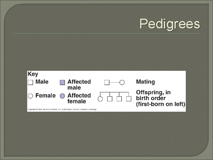 Pedigrees 