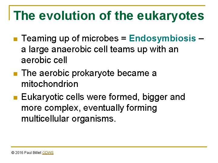 The evolution of the eukaryotes n n n Teaming up of microbes = Endosymbiosis