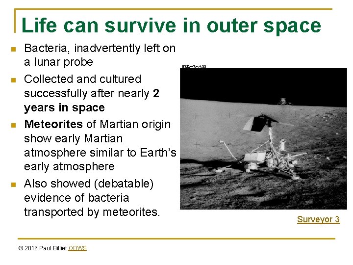 Life can survive in outer space n n Bacteria, inadvertently left on a lunar