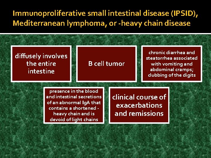 Immunoproliferative small intestinal disease (IPSID), Mediterranean lymphoma, or -heavy chain disease diffusely involves the