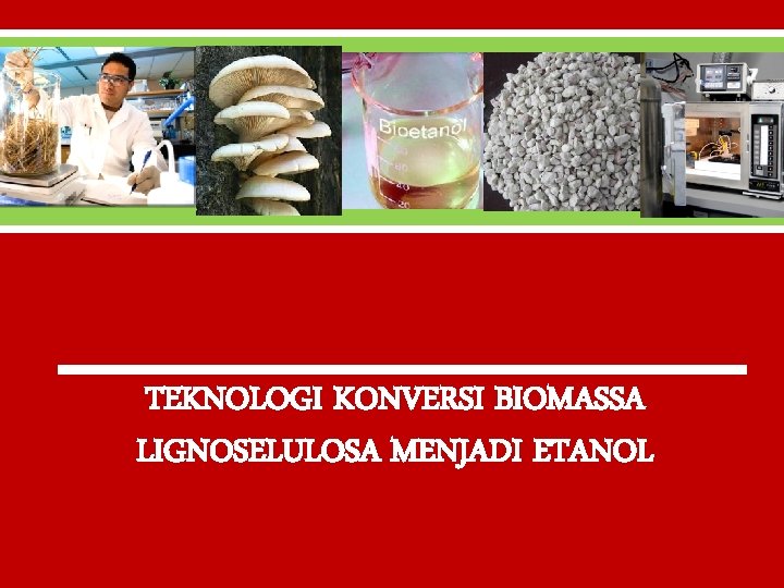 TEKNOLOGI KONVERSI BIOMASSA LIGNOSELULOSA MENJADI ETANOL 