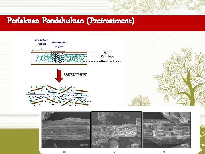 Perlakuan Pendahuluan (Pretreatment) 
