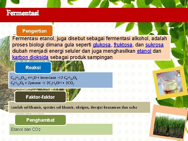 Fermentasi Pengertian Fermentasi etanol, juga disebut sebagai fermentasi alkohol, adalah proses biologi dimana gula