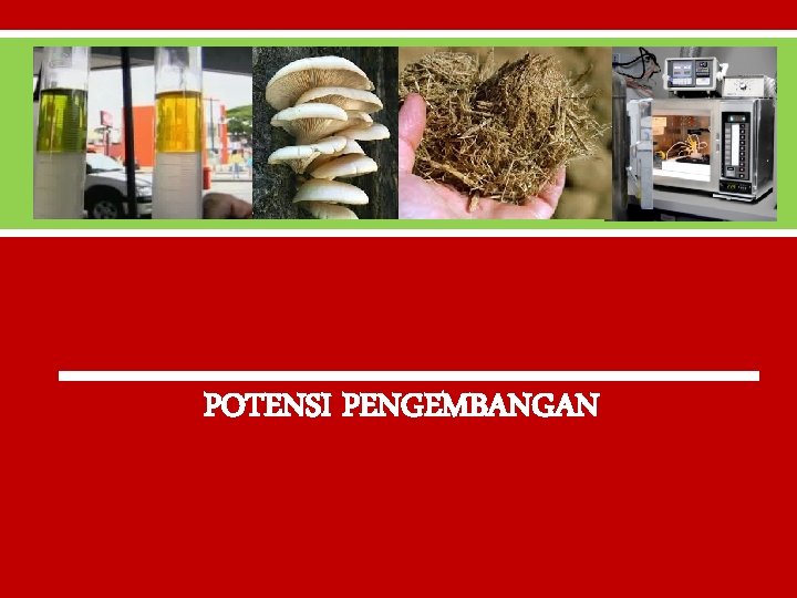 POTENSI PENGEMBANGAN 