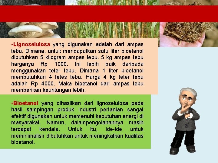  • Lignoselulosa yang digunakan adalah dari ampas tebu. Dimana, untuk mendapatkan satu liter