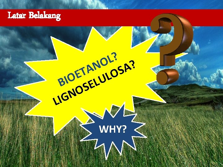 Latar Belakang ? L O A? N A S T O E L O