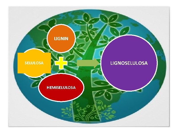 LIGNIN LIGNOSELULOSA HEMISELULOSA 