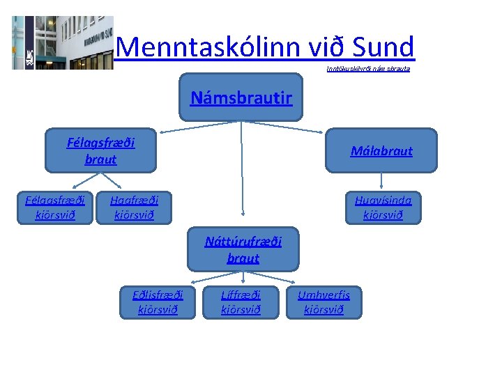 Menntaskólinn við Sund Inntökuskilyrði námsbrauta Námsbrautir Félagsfræði braut Félagsfræði kjörsvið Málabraut Hagfræði kjörsvið Hugvísinda