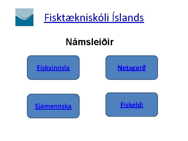 Fisktækniskóli Íslands Námsleiðir Fiskvinnsla Netagerð Sjómennska Fiskeldi 
