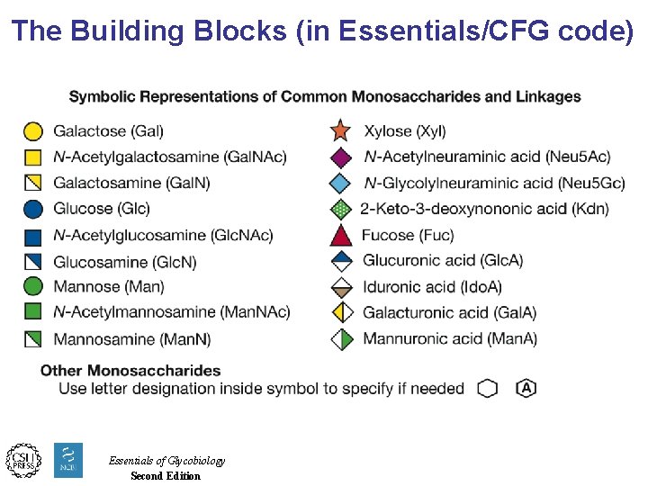 The Building Blocks (in Essentials/CFG code) Essentials of Glycobiology Second Edition 